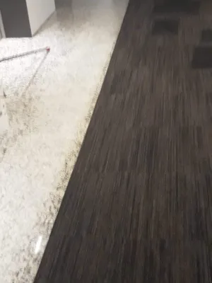 Instalación de suelo de madera natural en Hospitalet de Llobregat